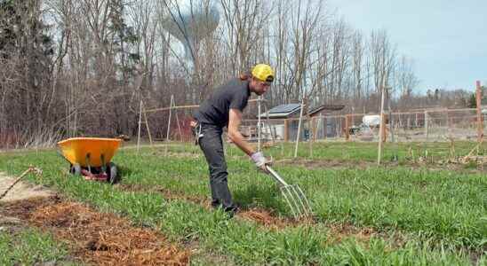 Earth Day in Stratford about engaging community in environmental protection