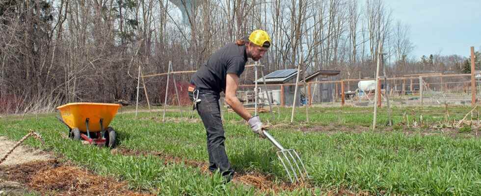 Earth Day in Stratford about engaging community in environmental protection