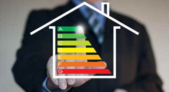 Energy check a payment this Monday Amount dates for whom