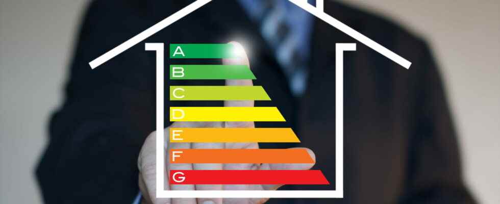 Energy check a payment this Monday Amount dates for whom