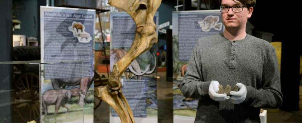 Exhibit brings Norfolks ice age giant to life