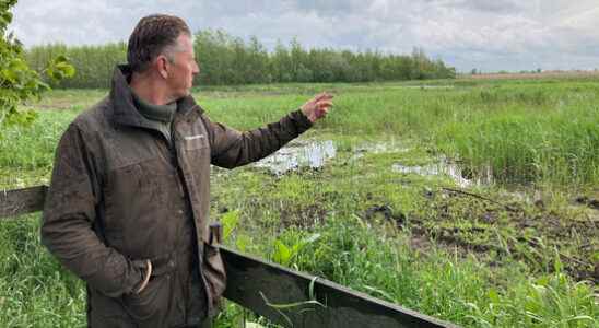 Forest ranger Rene calls on defense not to fly low