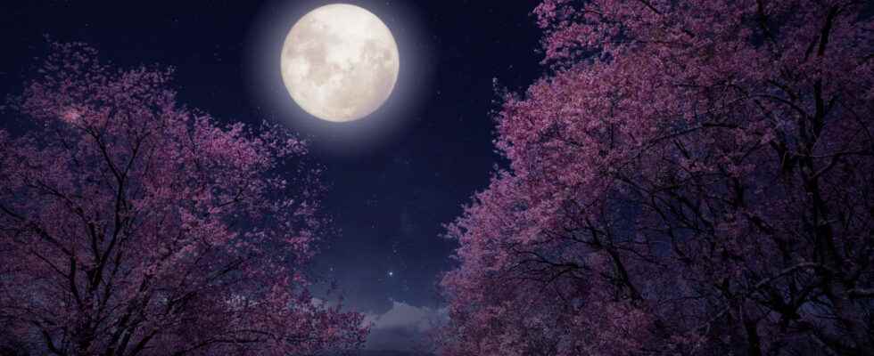 Full moon 2022 what effects of the April pink moon