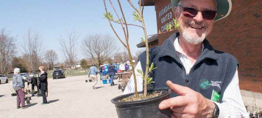 Gardeners in Stratford continue tree planting push with weekend sale