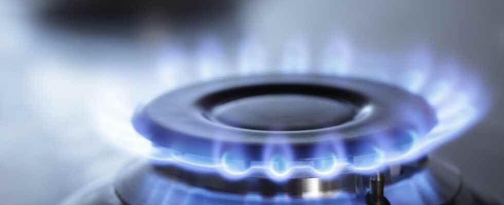 Gas prices savings of up to 1200 euros this year