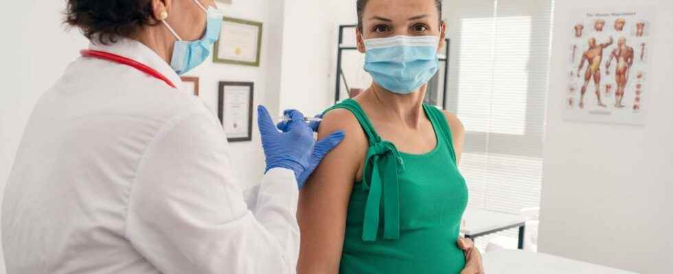 HAS recommends pertussis vaccination for pregnant women