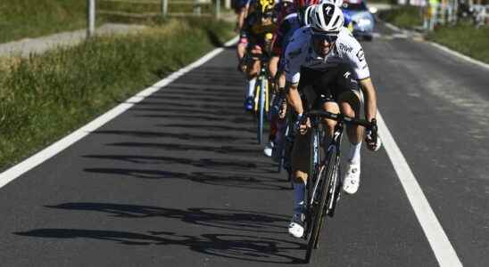 Julian Alaphilippe a new title on the Fleche Wallonne