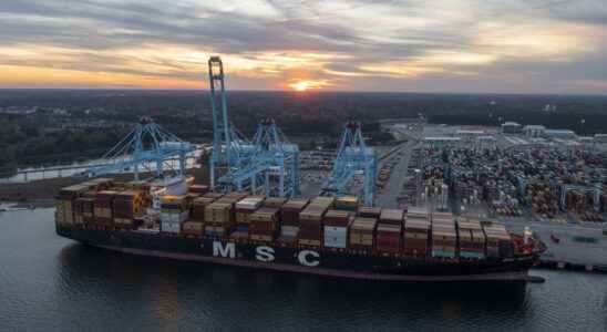 MSC the new juggernaut of logistics transport in West Africa