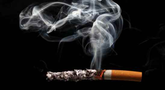 Menthol cigarettes soon to be banned in the United States