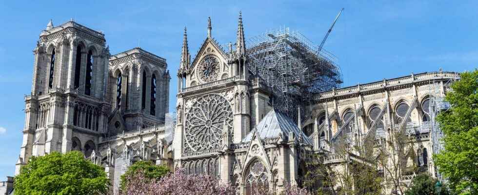 Notre Dame de Paris exceptional discoveries during the excavations of the