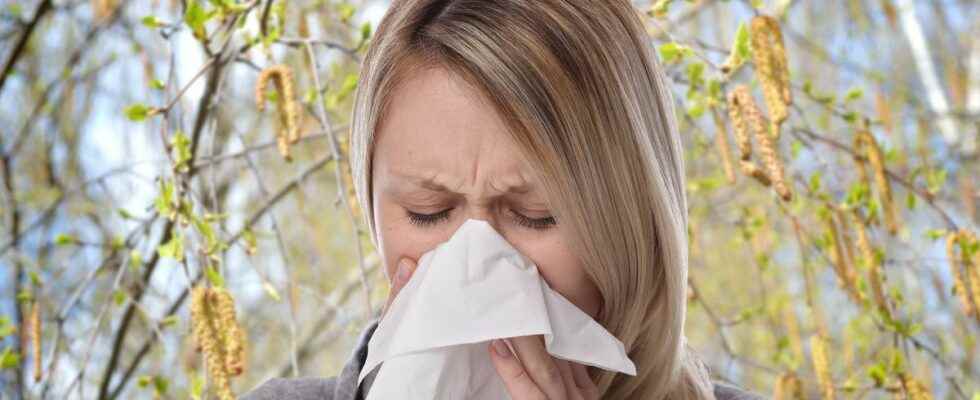 Pollen allergies alert over a large part of northern France