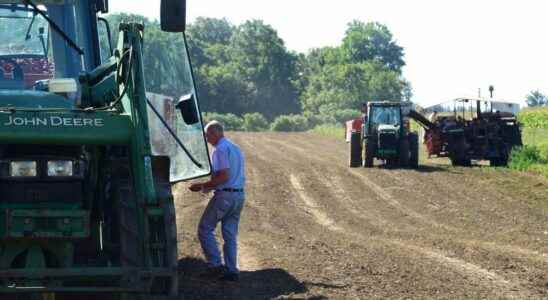 Rural economic advisory committee weighted by Chatham Kent