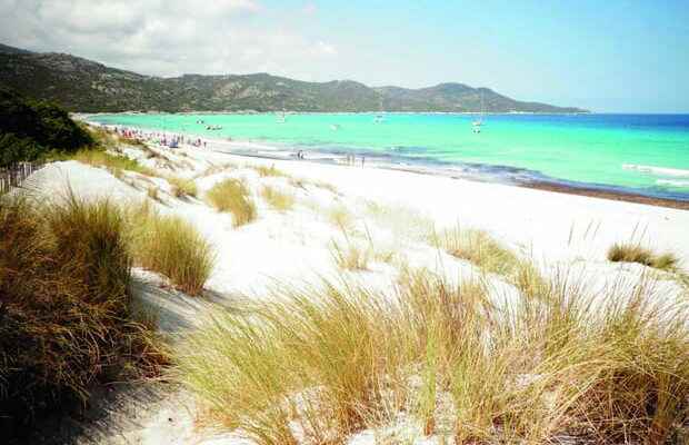 Saleccia beach