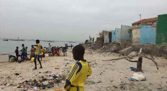 Senegal faced with the fraudulent exploitation of coastal sand