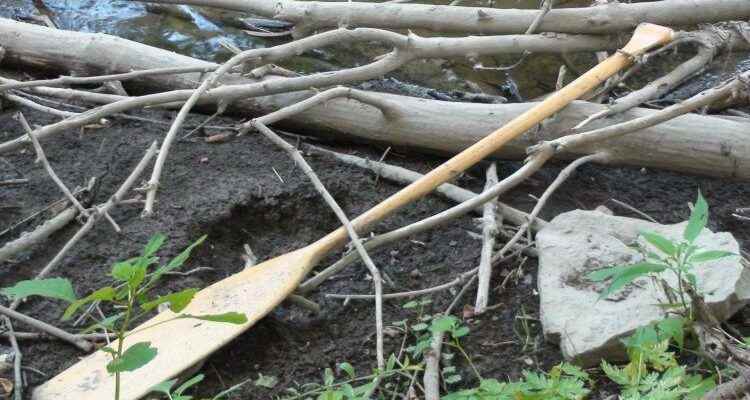 Thames River cleanup breaks out of pandemic logjam after two