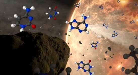 The Five DNA Bricks Found On Asteroids What Does It