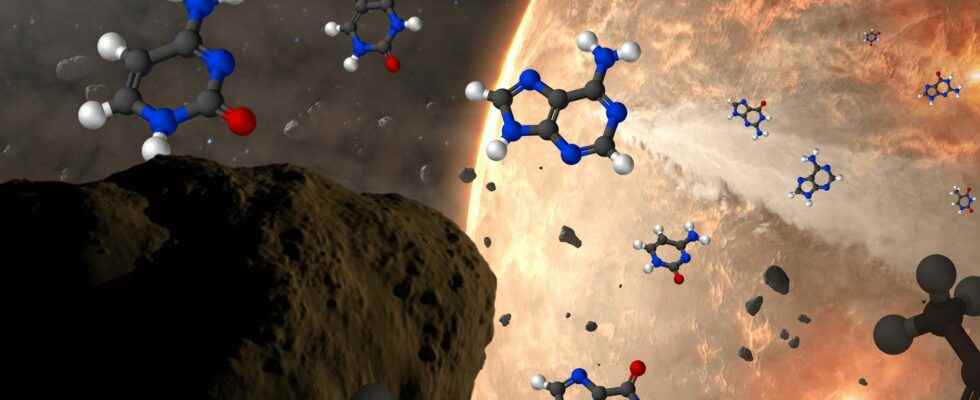 The Five DNA Bricks Found On Asteroids What Does It