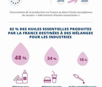 The business of essential oils in France