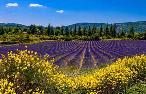 The mythical places of Provence