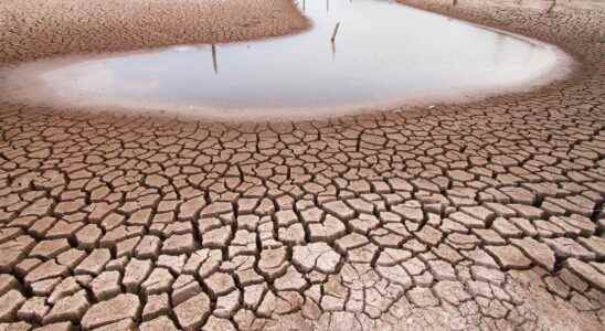 These bodies of water are disappearing