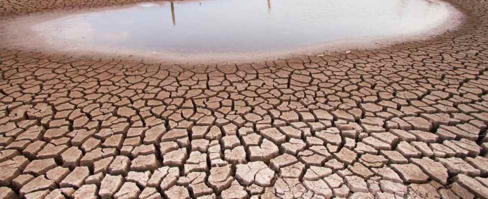 These bodies of water are disappearing