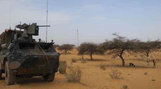 True false mass grave in Mali between Paris and Moscow the