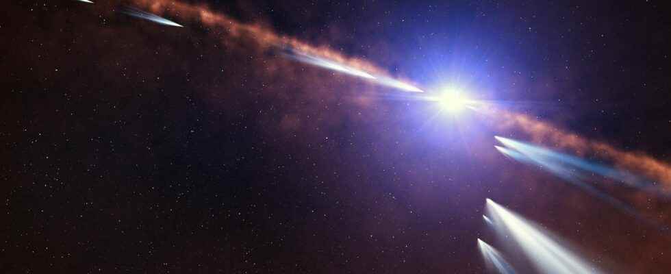 Ukrainian astronomers confirm the presence of exocomets around the young