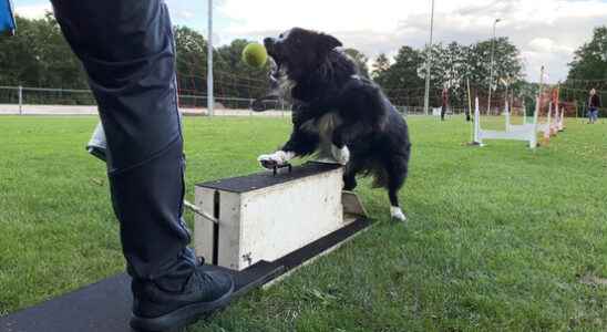 Utrecht uses mediation around years of soap about Sportpark Overvecht Noord