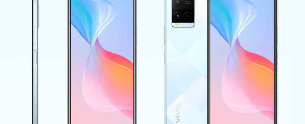 Vivo Y21G introduced with 5000 mAh battery