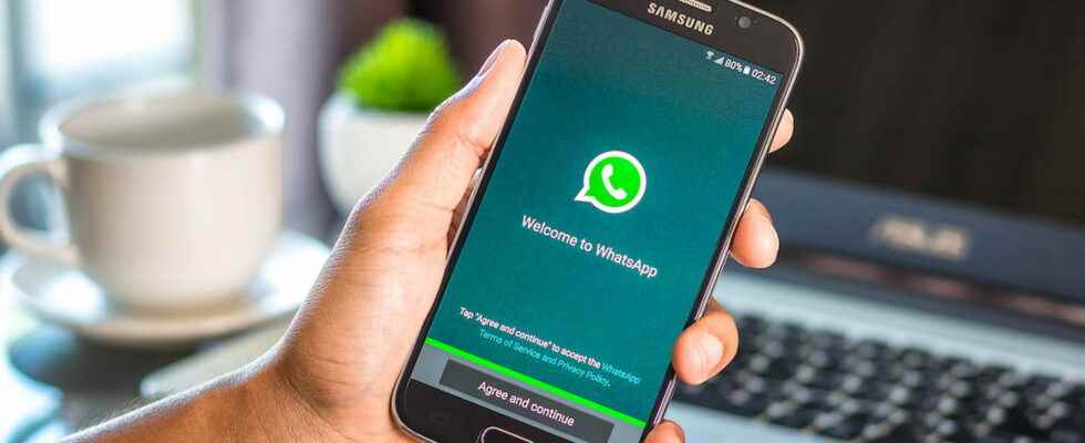 WHATSAPP The famous instant messaging app is evolving with several