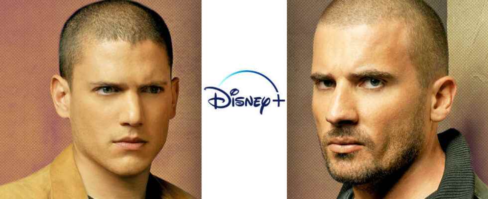 4 series on Disney that combine high tension and crime