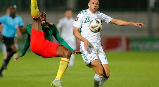 Algeria Cameroon Algeria sanctioned by Fifa