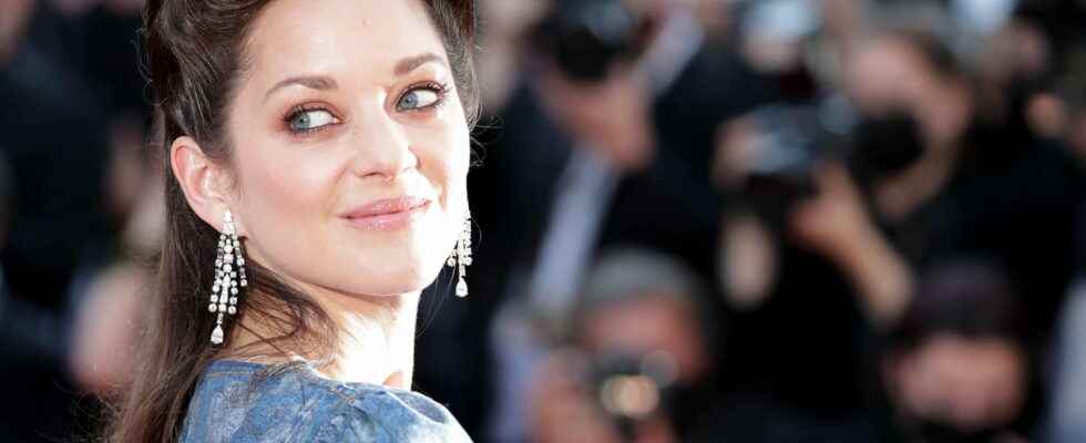 Cannes Film Festival which stars are expected on the Croisette