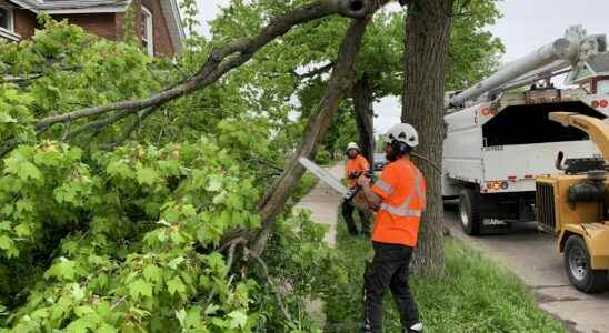 Clean up operations underway following severe storm