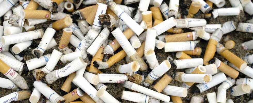 Councilor wants to change attitudes about smokers tossing cigarette butts