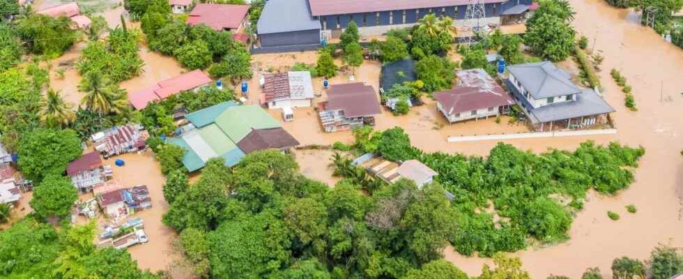 Deadly floods in Brazil the reasons for the disaster