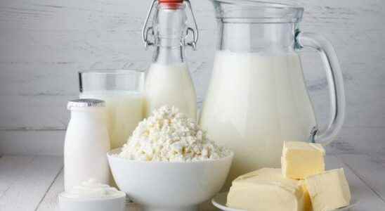 Direct link between dairy products and cancer risk suggested