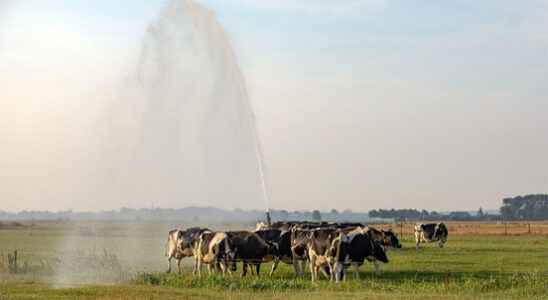 Drought coming Its not that bad in Utrecht but farmers