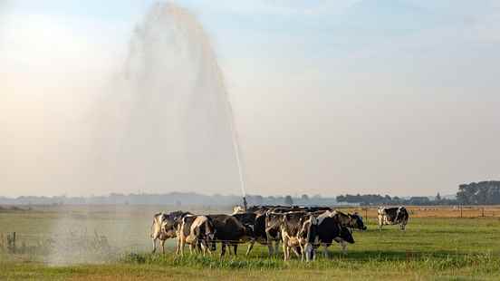 Drought coming Its not that bad in Utrecht but farmers