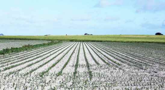 Drought in France 2022 map of departments on alert and