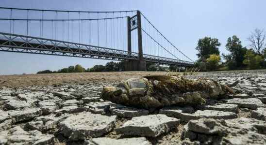 Early drought in France Summer rain does not have the