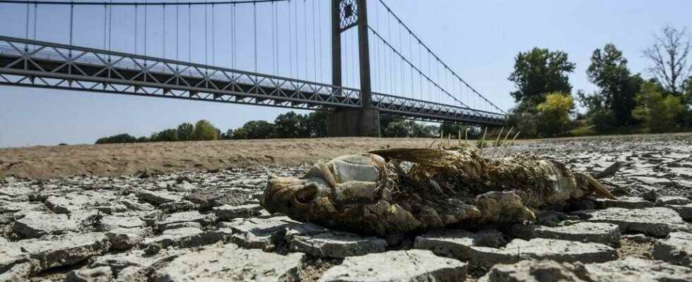 Early drought in France Summer rain does not have the