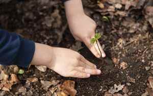 Environment the economic value of biodiversity