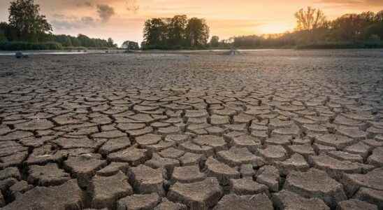 Europe has had its worst drought in 250 years