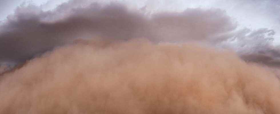 Extraordinary weather phenomenon the haboob