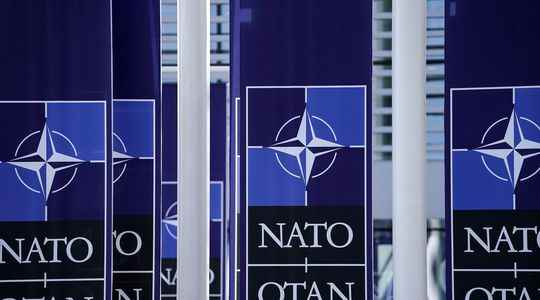 Finland Sweden What to expect before joining NATO