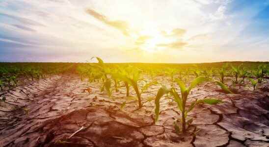 France breaks its record for the longest period with temperatures