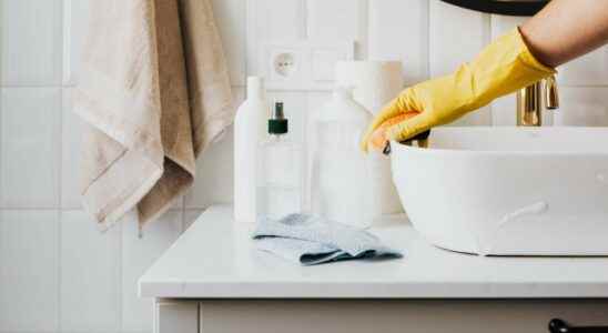 Home cleaning why call on personal services