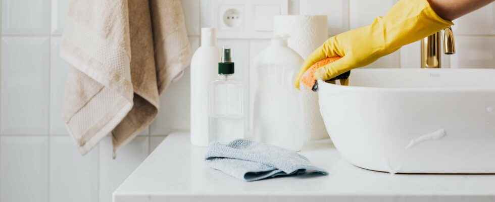 Home cleaning why call on personal services