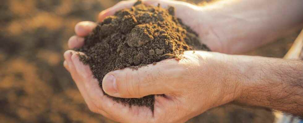 How are soils formed